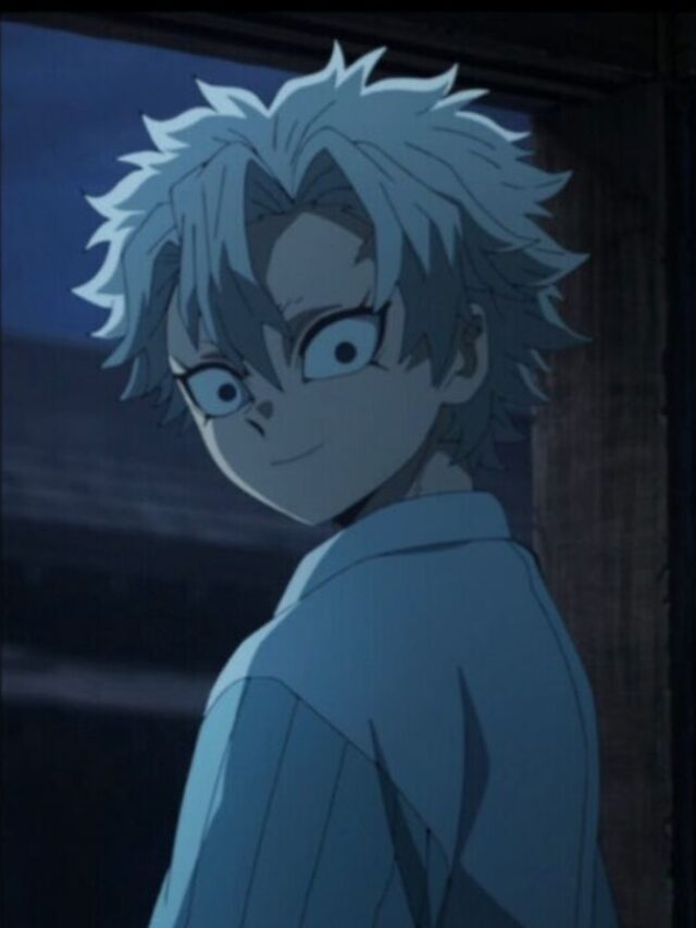 4ª temporada do Demon Slayer reúne os irmãos Shinazugawa em novo pôster